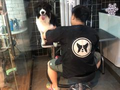 -Goku PET SHOP宠物视觉生活馆(双井店)