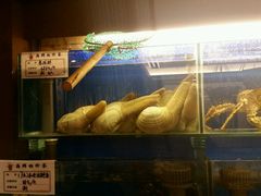 -大唐名家·息壤店