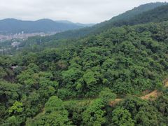 -火炉山森林公园