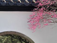 -岳王庙