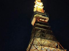 -东京塔海贼王主题公园