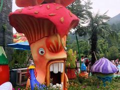 -苏州乐园森林水世界