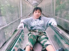 -丹东天桥沟景区