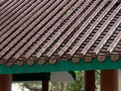 -九龙公园
