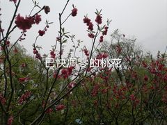 -共青国家森林公园-售票处