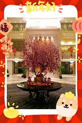 -喜喜月子(瑞虹天地店)