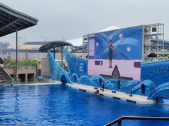 -上海海昌海洋公园