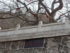 -青檀寺景区