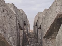 -上海滨江森林公园