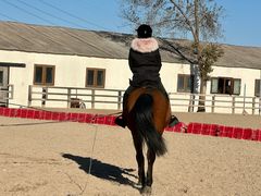 -北京群众马术培训基地