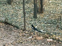 -森林公园(尖草坪区)