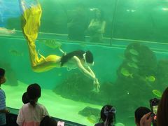 -苏州海洋馆