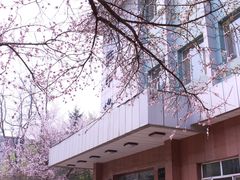 -吉林大学(南岭校区)