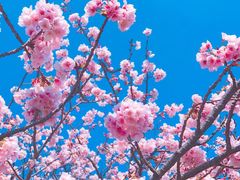 -世纪家家福生活超市(和义西里小区店)