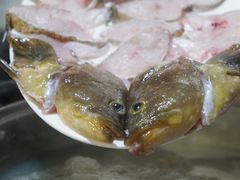 -凯华海鲜火锅·传承三十六年