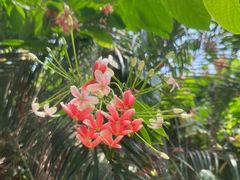 -盛泰恐龙谷温泉