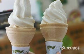 Handmade Soy Milk Ice Cream