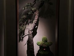 -觀芷隐轩