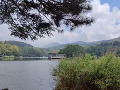 -庐山风景区花径公园