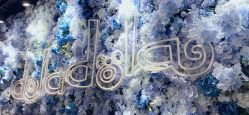 点击看大图 -doladola(徐家汇店)