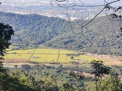 -风云岭森林公园