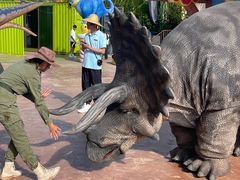 -世界恐龙谷景区