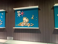 -青岛贝壳博物馆