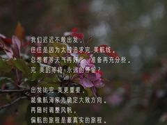 -曼朗心理咨询·旗舰店