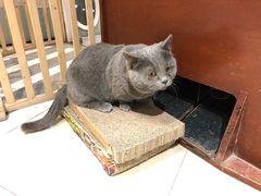 -小时光咖啡馆(开森度假森林店)