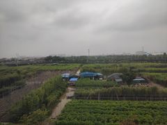 -惠阳站