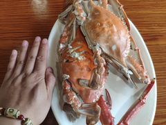 -胖大嫂渔家排档·全海景餐厅(渔村店)