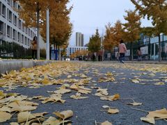 -放哈·甜醅子奶茶创造者(正宁路店)