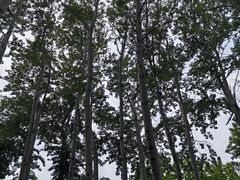 -仁和公园(顺义区)