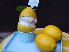 -苏小糖(鼓浪屿三丘田花园店)