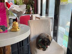 -EATALIA意塔利意式餐厅(鼓楼店)