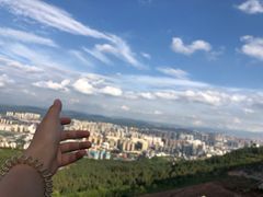 -长虫山生态公园风景林
