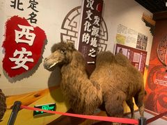 -江城小馆陕南妈妈菜·全球旅行餐厅(钟楼店)