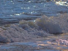 -原山国家森林公园