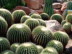 -华南国家植物园-售票处