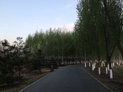 -东郊湿地公园