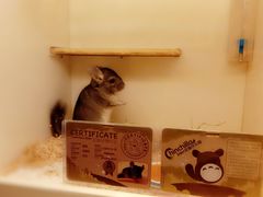 -龙猫仔乐园(惠福东路店)