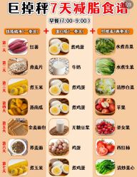 -Fundi张玉珊修身堂·indiba·BTL科技瘦身