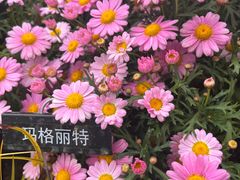 -苏州上方山国家森林公园