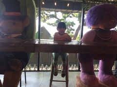 -济州岛泰迪熊博物馆