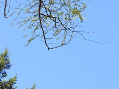 -颐和园
