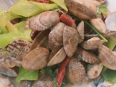 辣炒花蛤-宗泉烤全羊·烤羊腿·家常菜(解放东路店)