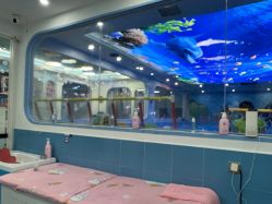 -鲸鱼堡亲子恒温泳池游泳俱乐部(彰泰天街店)