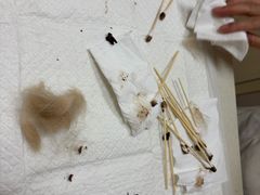 -瑞鹏宠物医院·超声·骨科·奇麟分院(蜀都万达店)