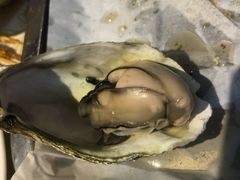 -虾恋蛤蟆功