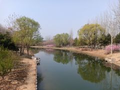 -大兴滨河森林公园